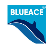 Blueace India Limited