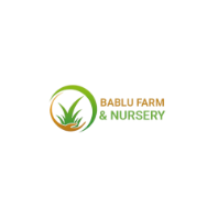 Bablu Farm and Nursery